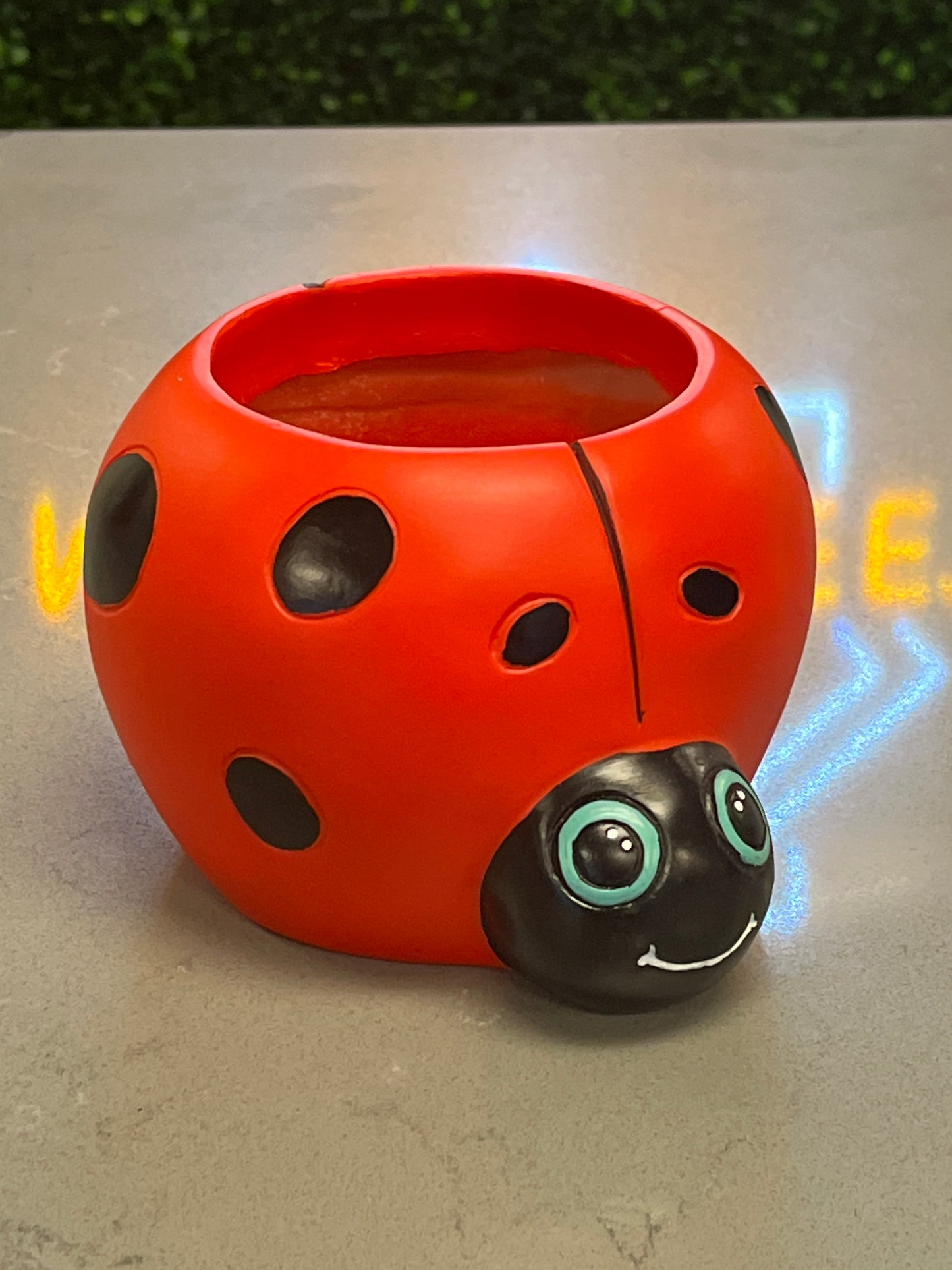 Ladybug Planter