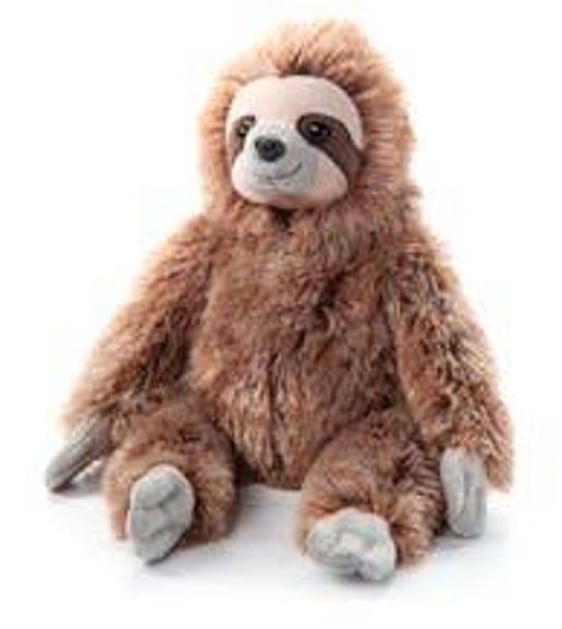 BR. Wild Sloth