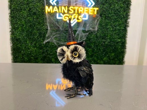 Blk Feather Owls/hat