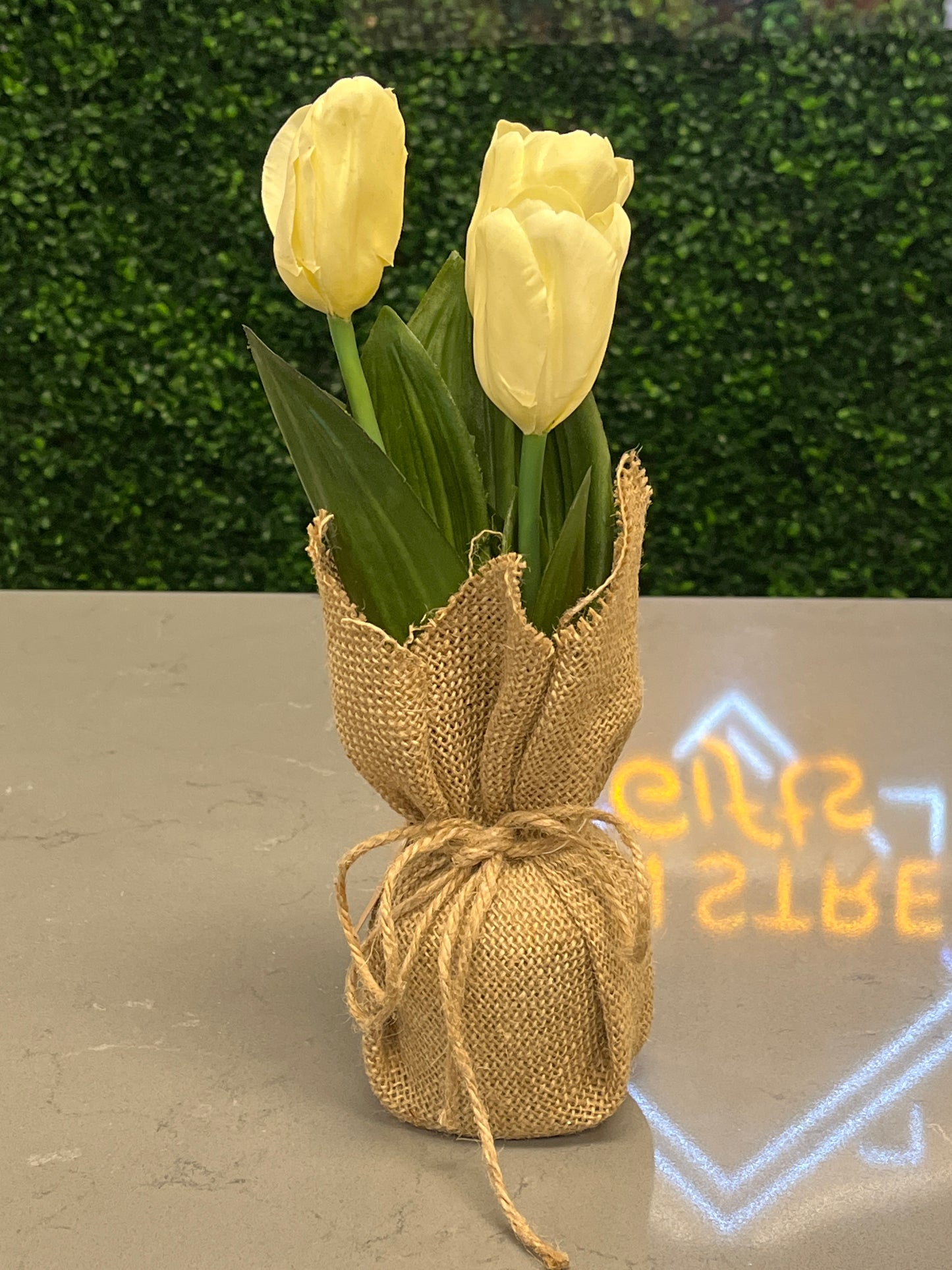 Tulip in Burlap Sack