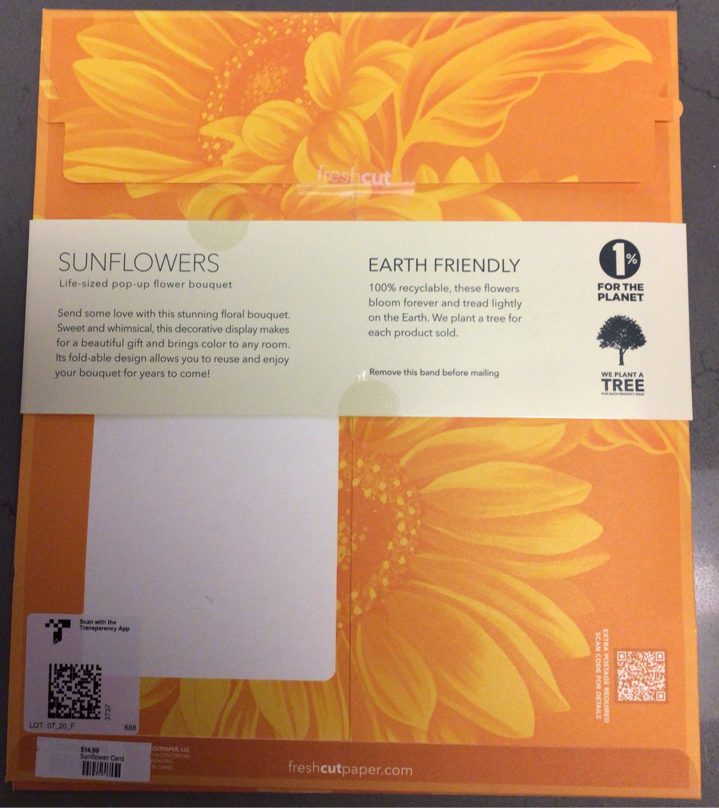 Sunflower Card