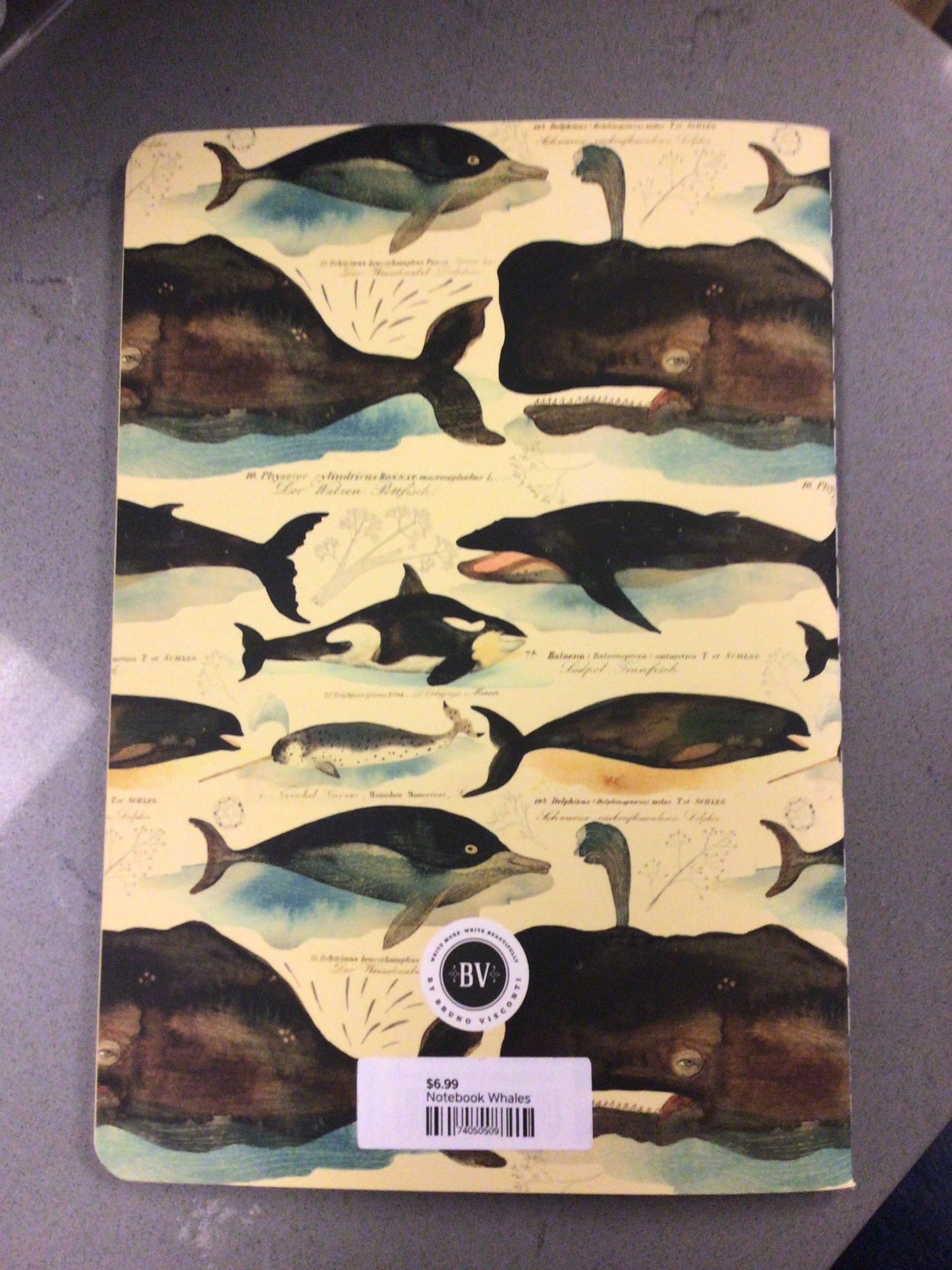 Notebook Whales