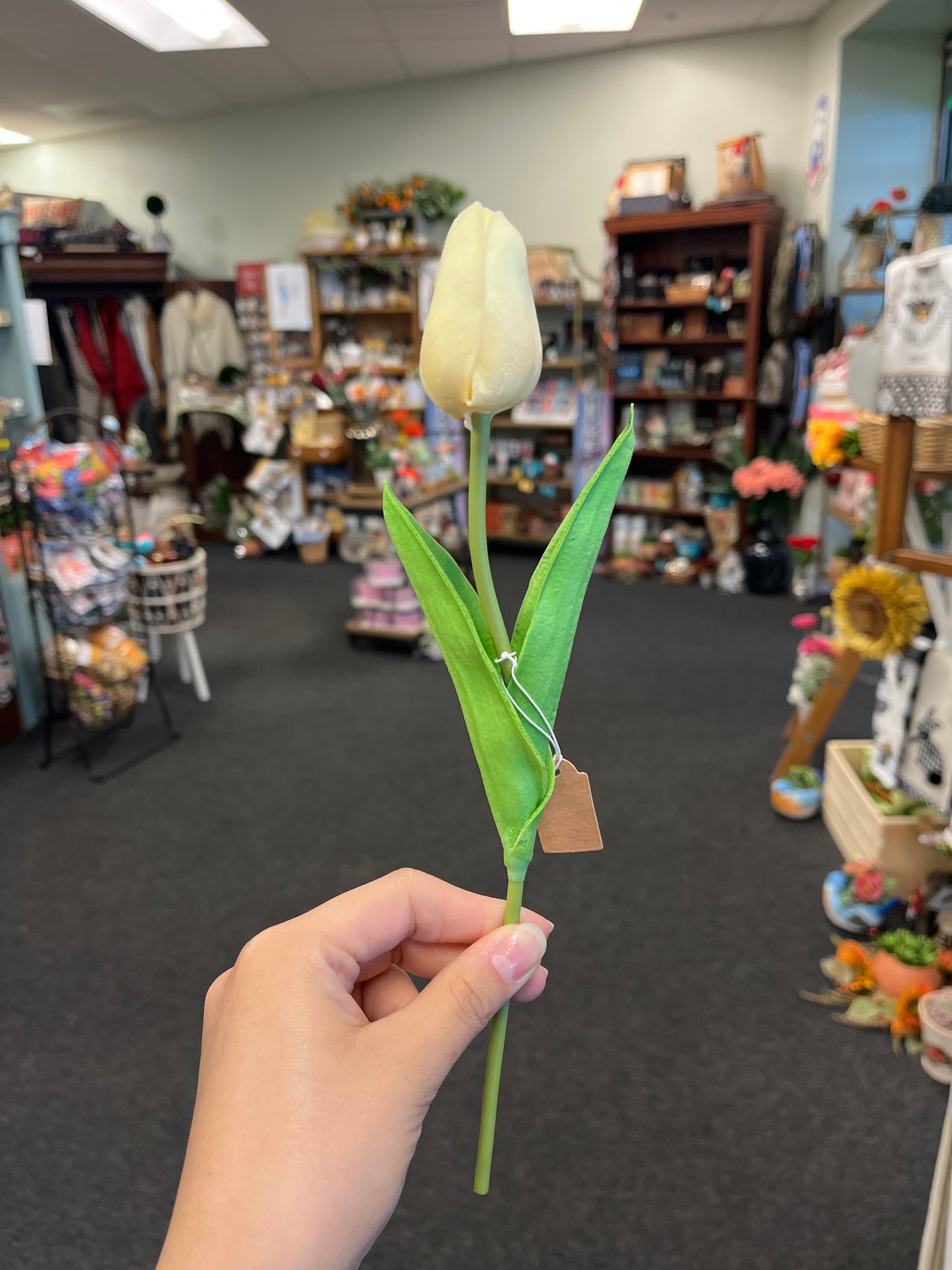 Mini Tulip Stem