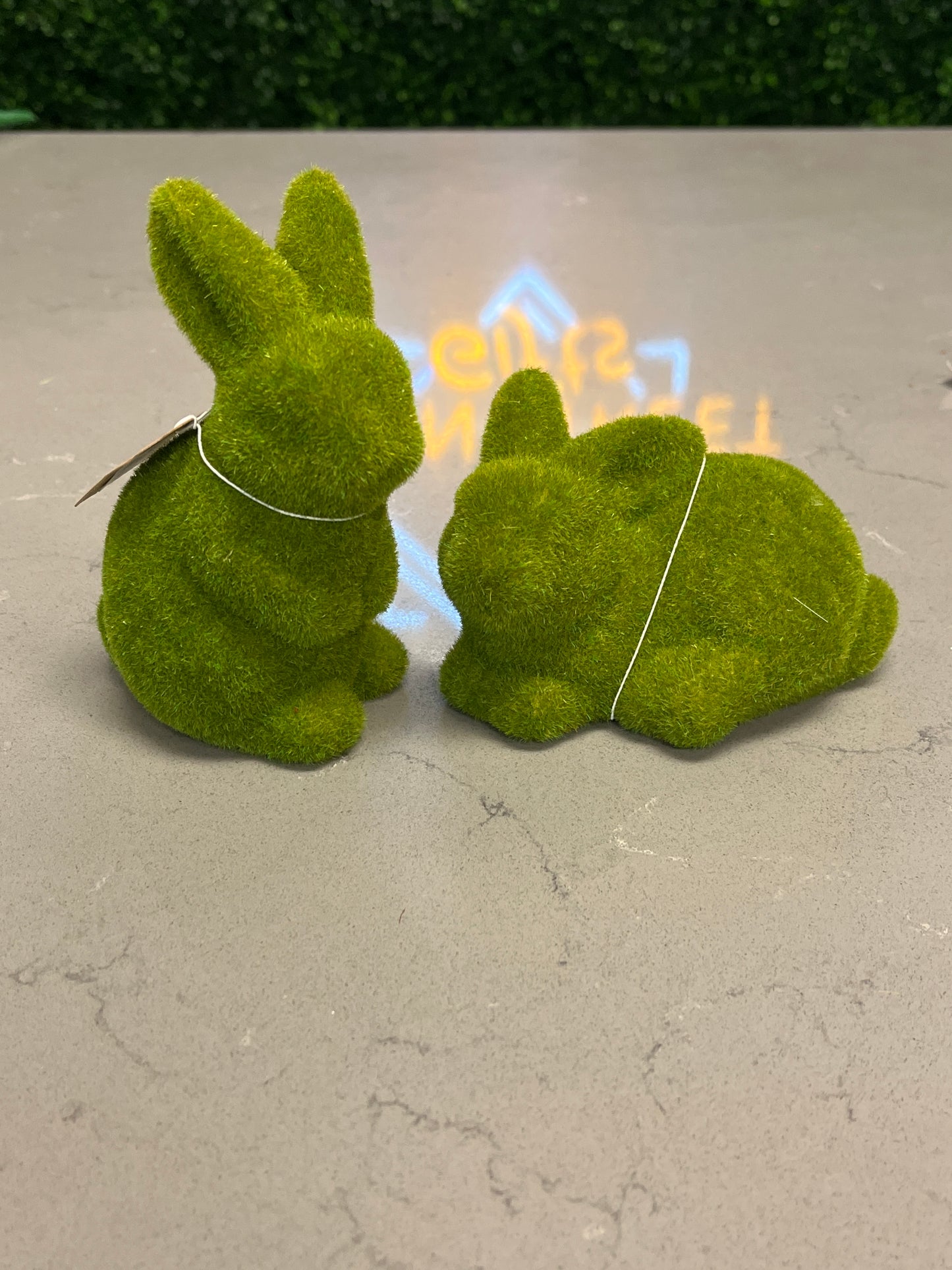 Mossy Bunny