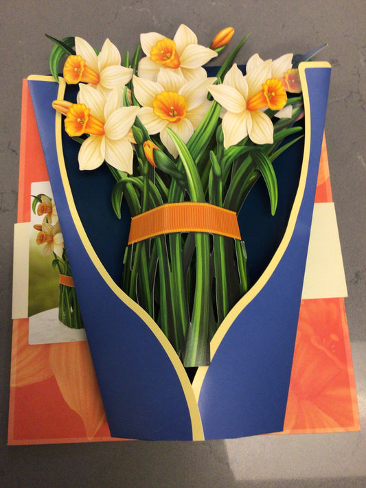 Daffodils Card