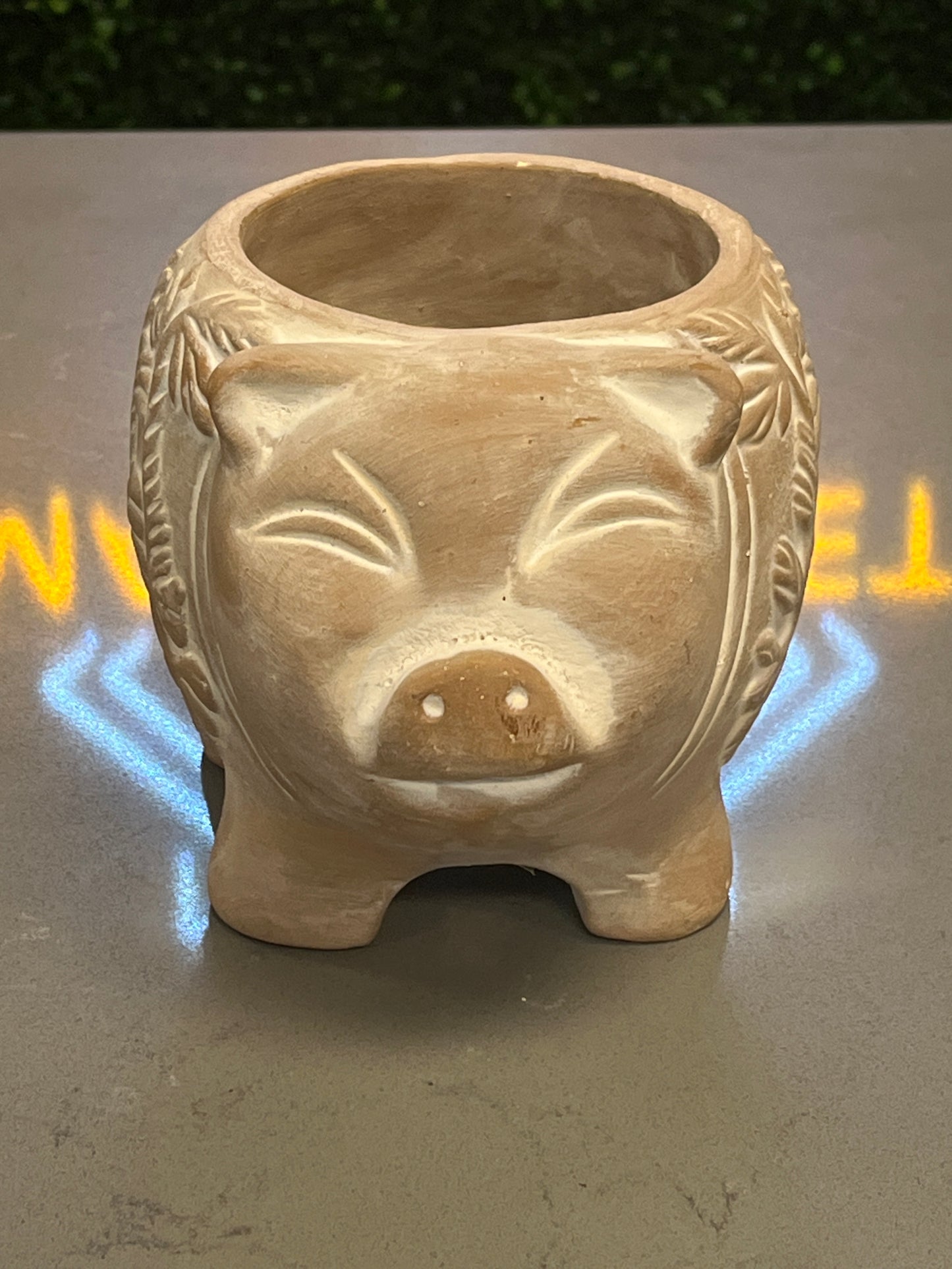 Happy Pig Planter
