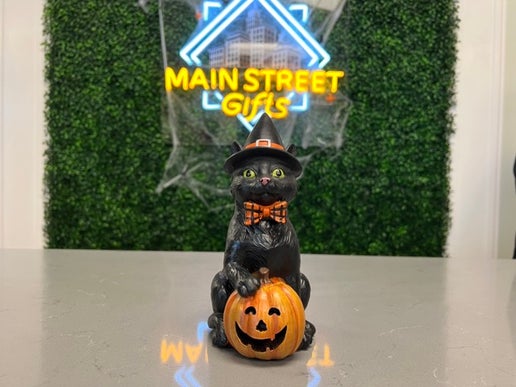 Blk Cat/Witch Hat LED