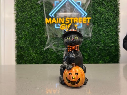 Blk Cat/Witch Hat LED