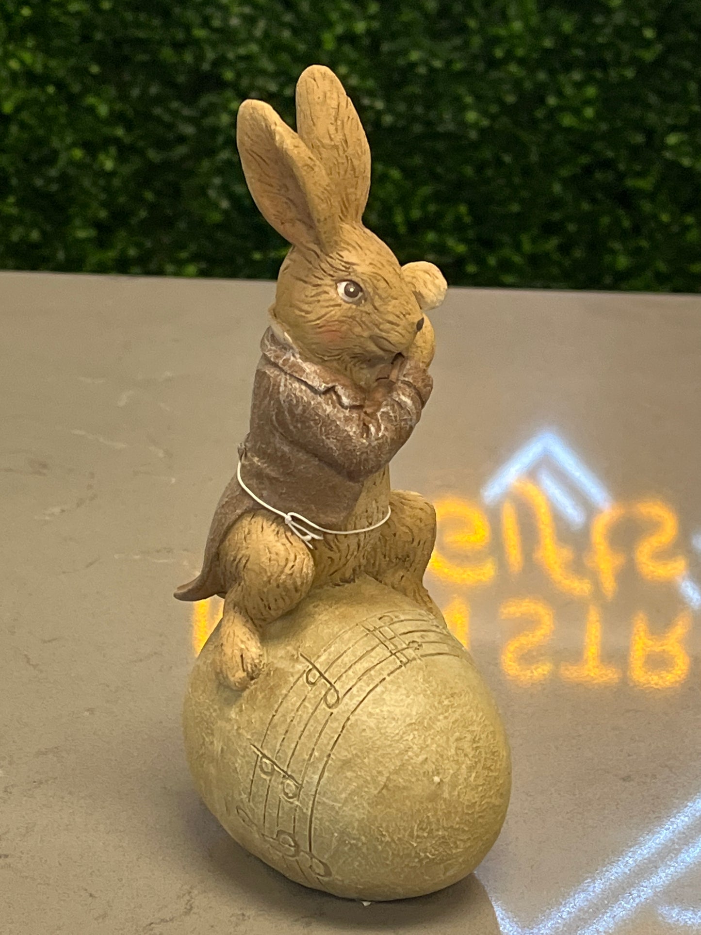 Musical Bunny on Egg