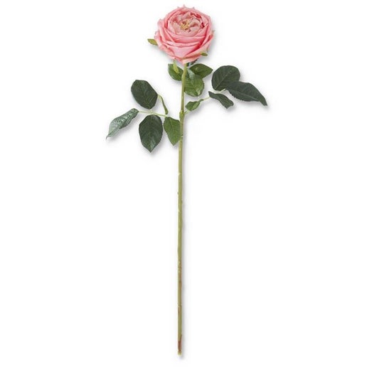 Dark Pink Rose Stem