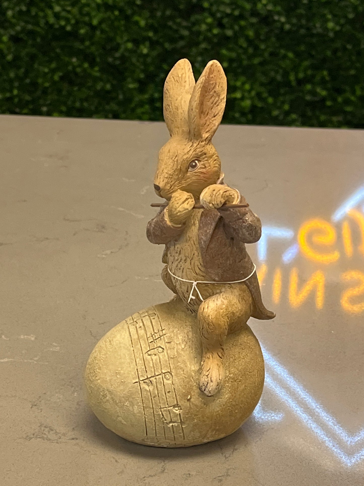 Musical Bunny on Egg