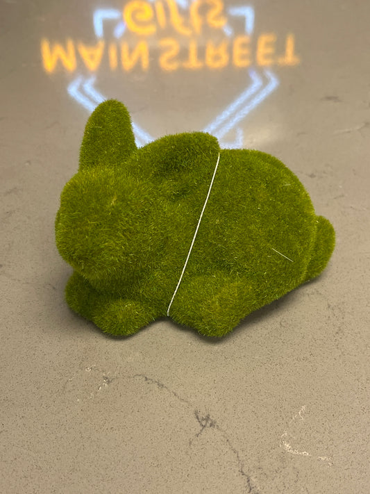 Mossy Bunny