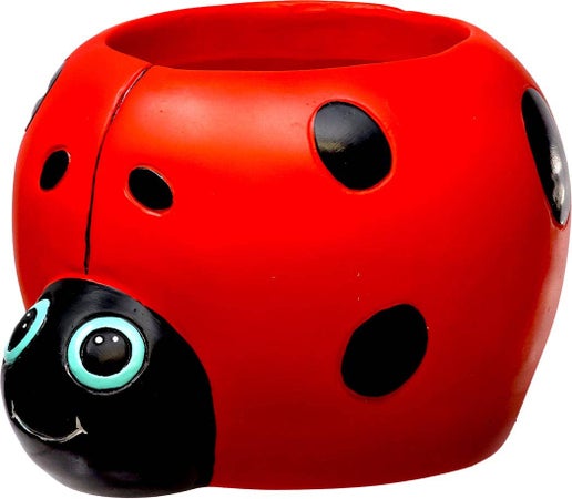 Ladybug Planter